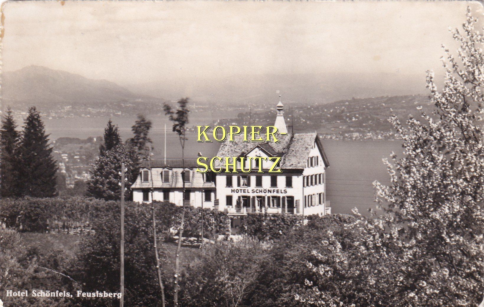 Cartoline postali: Feusisberg, Hotel Schönfels /ay – Usato da Hombrechtikon venduto da Rudolf07