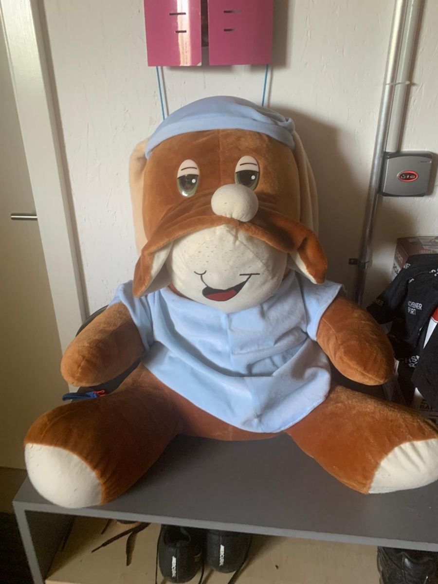 Giocattoli: Peluche XL à vendre – Usato da Sonceboz-Sombeval venduto da msap 1
