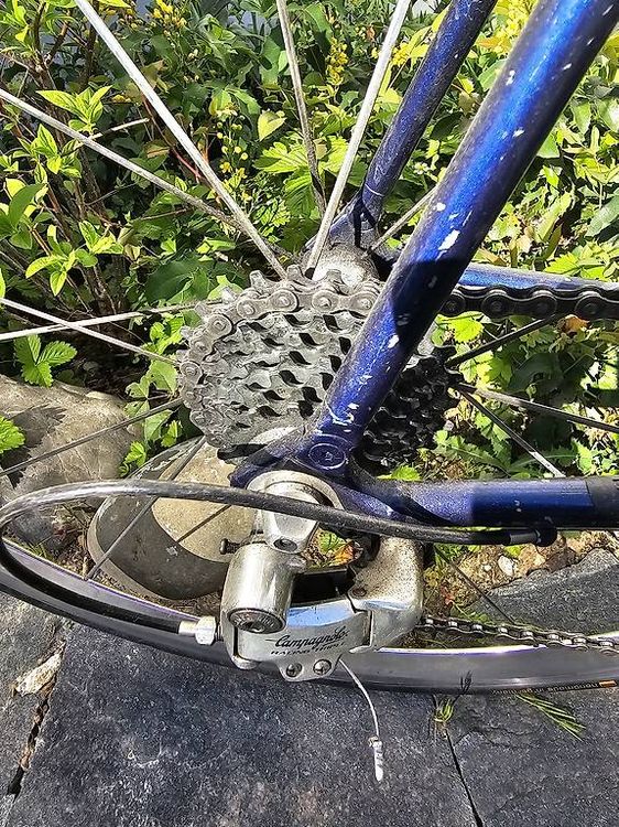 Vitus Velos: Campagnolo retro Rennrad – Gebraucht aus Zürich von ric_2lrg 2
