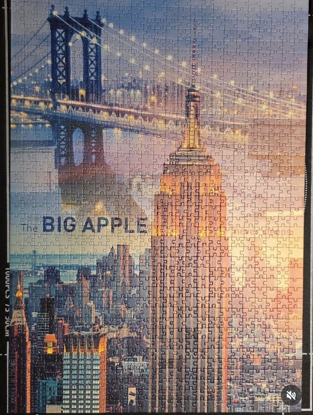Puzzles: Trefl Puzzle 1000 Teile - New York – Gebraucht aus St. Gallen von Shelly__x3 1