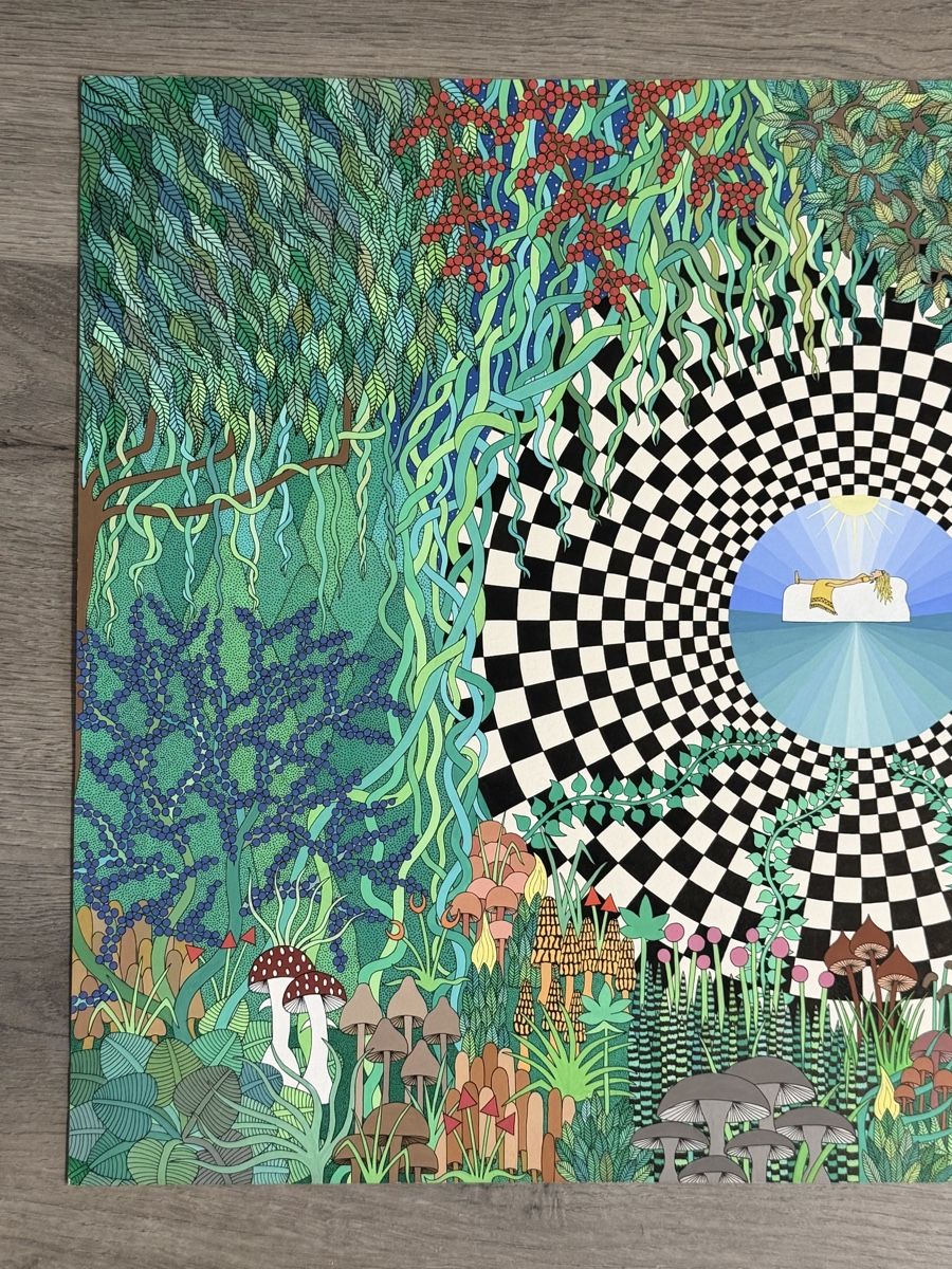 Foto & Immagini: Wunderschöne Kunst, Original – Usato da Gunten venduto da starfish3 1