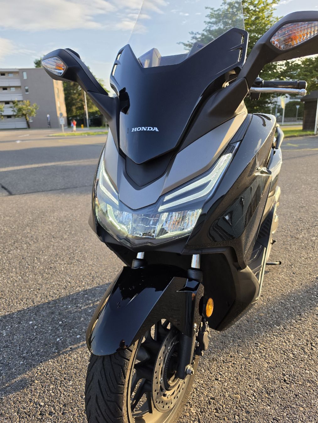 Honda Scooters: Honda Forza 125  – D'occasion à Pfäffikon ZH par Ne_im 6