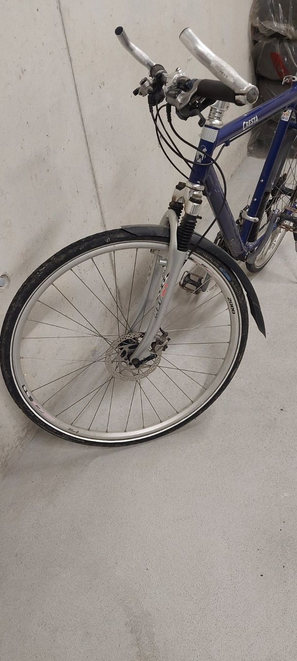 Cresta Velos: Herrenvelo Cresta – Gebraucht aus Kyburg-Buchegg von herewegomagic 1