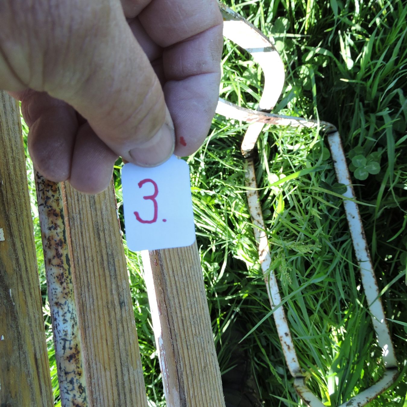 Sedie: Gartenstuhl Holz/Metall Nr.3 – Usato da Meikirch venduto da rva_q8c7 4