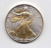 (3000) USA, 1 Unze Silber, Gold plated, Eagle 2005