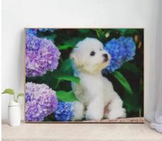 Diamond Painting Malteser Welpe-40-30x40-1224