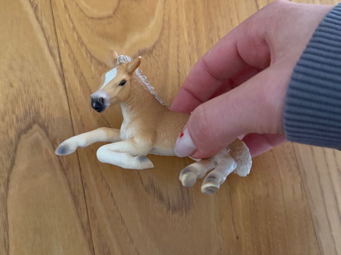 Schleich Giocattoli: Pferde 5 Stk., Schleich – Nuovo (secondo la descrizione) da Sissach venduto da laura.x4 3