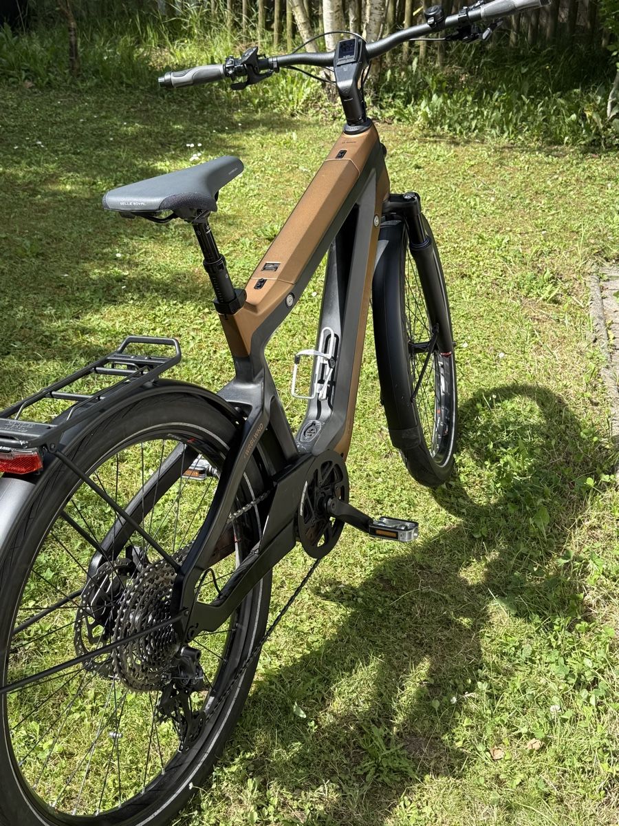 Simpel Biciclette: E- Bike Simpel Wirbelwind – Usato da Oetwil am See venduto da wue_b6jd 1