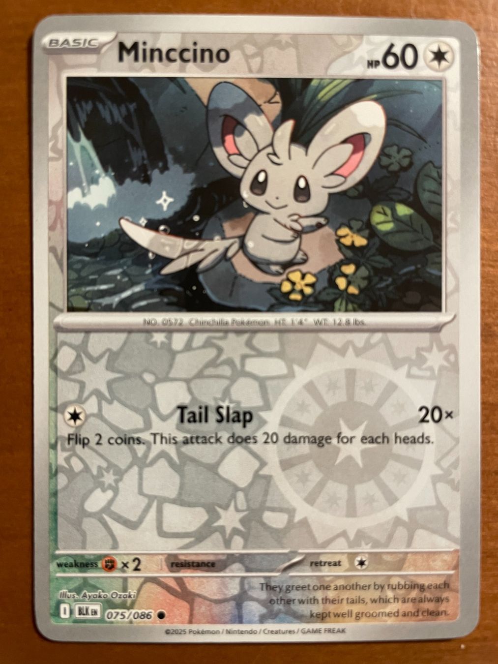 Pokémon Carte collezionabili: Pokemon Minccino Reverse (Versand gratis) – Nuovo (secondo la descrizione) da Chur venduto da Angerson