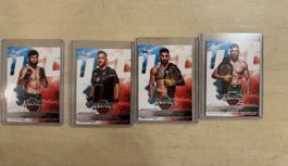 Lot 16 cartes Topps Knockout UFC 2025
