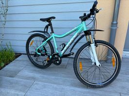 Schönes Mädchen- oder Damenfahrrad