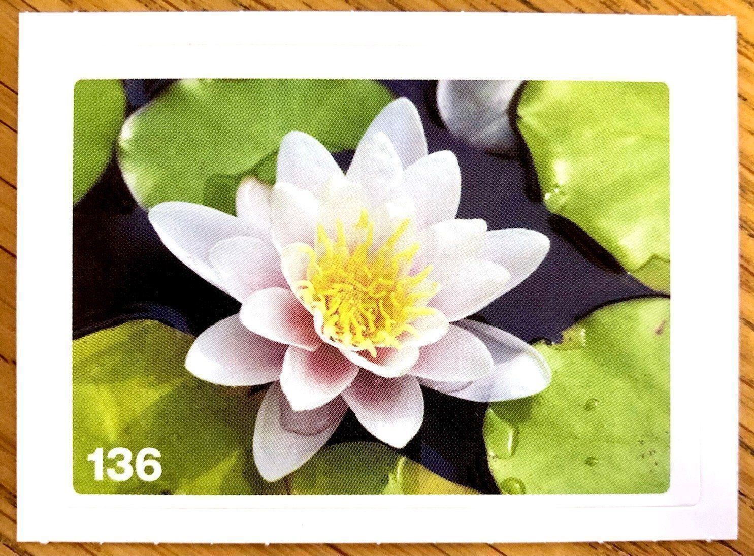 Migros Carte collezionabili: Migros Nature Detectives - Bild Nr. 136 – Nuovo (secondo la descrizione) da Oberrieden venduto da Zimmerberg10