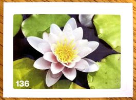 Migros Nature Detectives - Bild Nr. 136