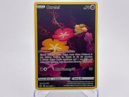 Zenit der Könige - Curelei  (CRZ GG14) - DE
