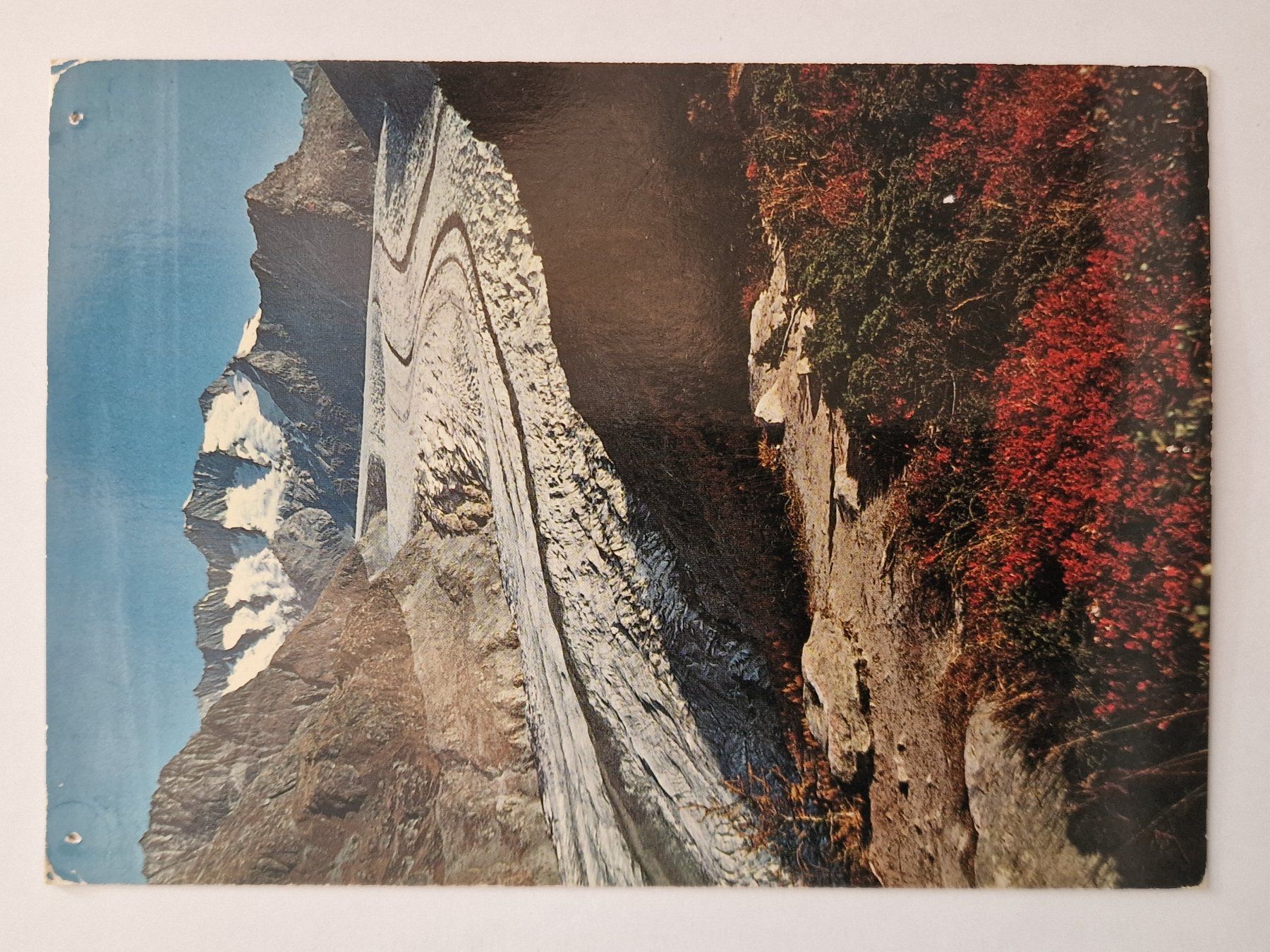Cartoline postali: Aletschwald am Grossen Aletschgletscher – Usato da Rüegsauschachen venduto da Hbru