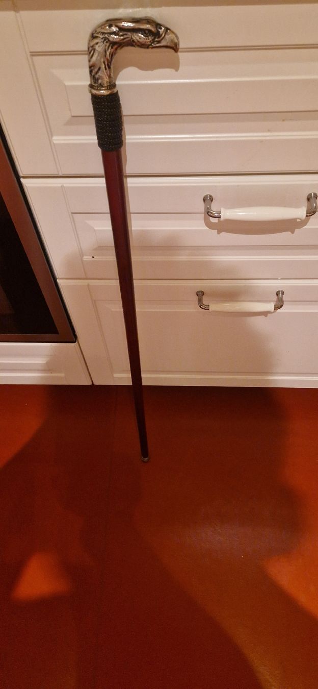 Gehhilfen: Walking cane – Gebraucht aus Burgdorf von maj_swz8