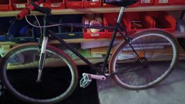 Bici fixie pops 