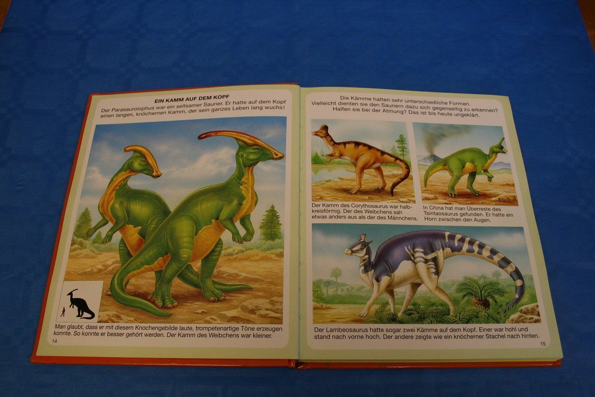 Livres: Dinosaurier und Vorgeschichte – D'occasion à Wettingen par zibi137 1