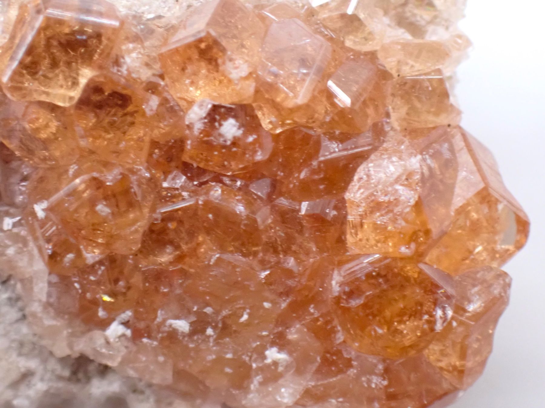 Mineralien & Heilsteine: RaRe Hessonite Jeffrey Mine, Québec, Canada – Gebraucht aus Figino von panshop 3
