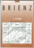 Landkarte Brienz 2008