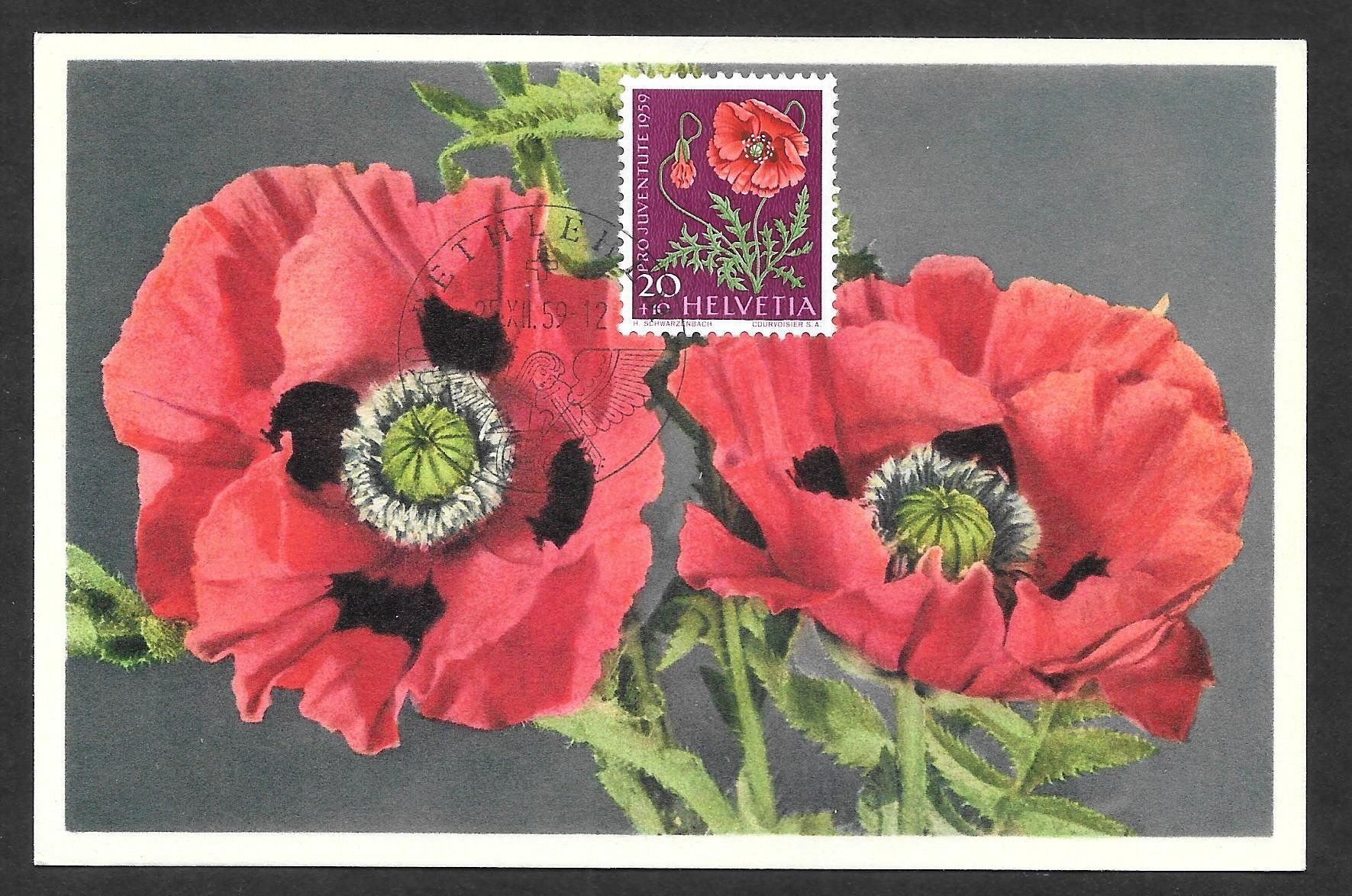 Tutti i francobolli: Maximumkarte Pro Juventute J180 Roter Mohn Bethlehem 1959 – Nuovo (secondo la descrizione) da Olten venduto da clotaldi