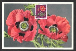 Maximumkarte Pro Juventute J180 Roter Mohn Bethlehem 1959