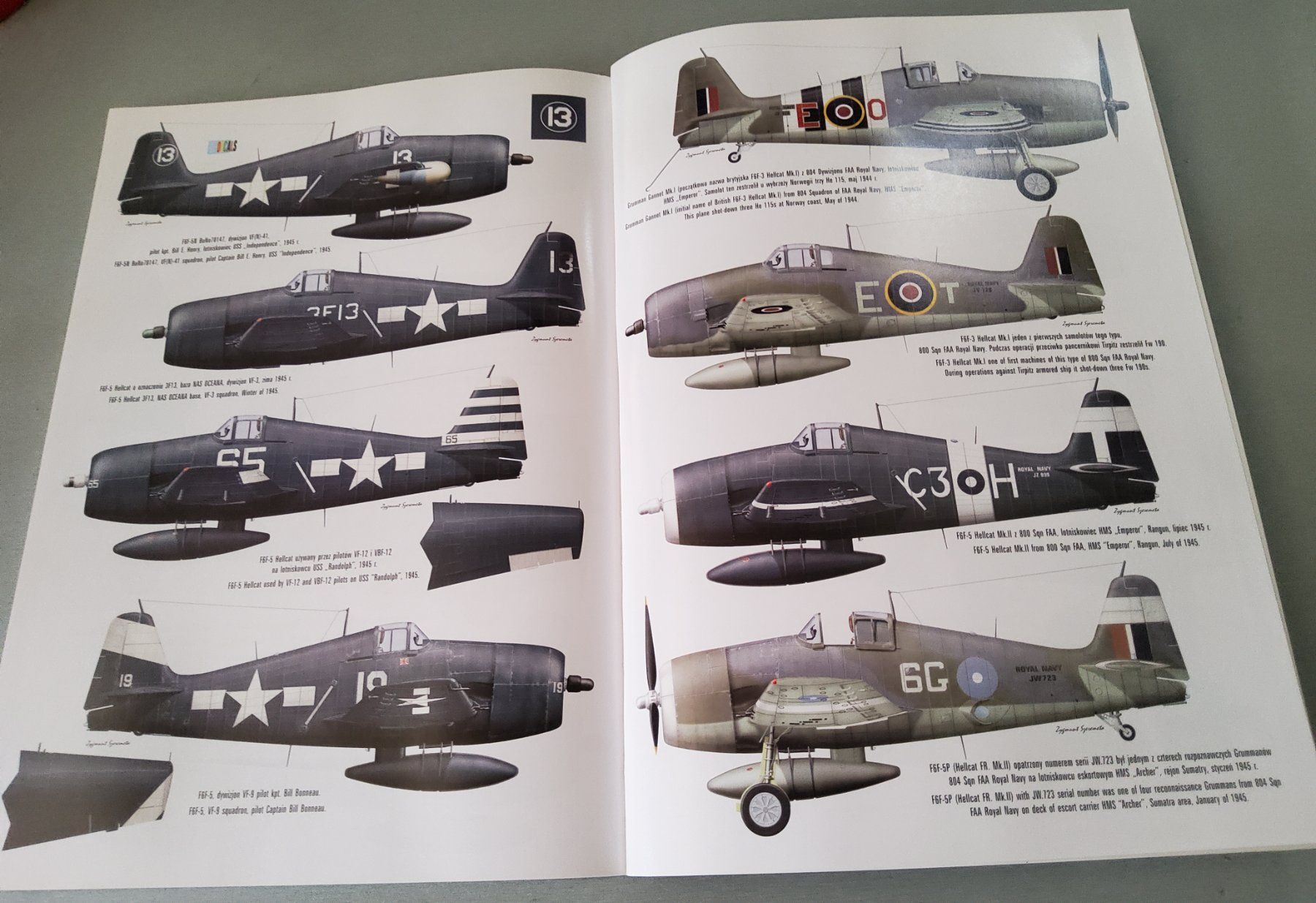Riviste & Magazine: Magazin/Buch HELLCAT Grumman F6F englisch – Usato da Grüningen venduto da VENOM59 4