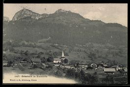 Erlenbach im Simmental, Teilansicht mit 