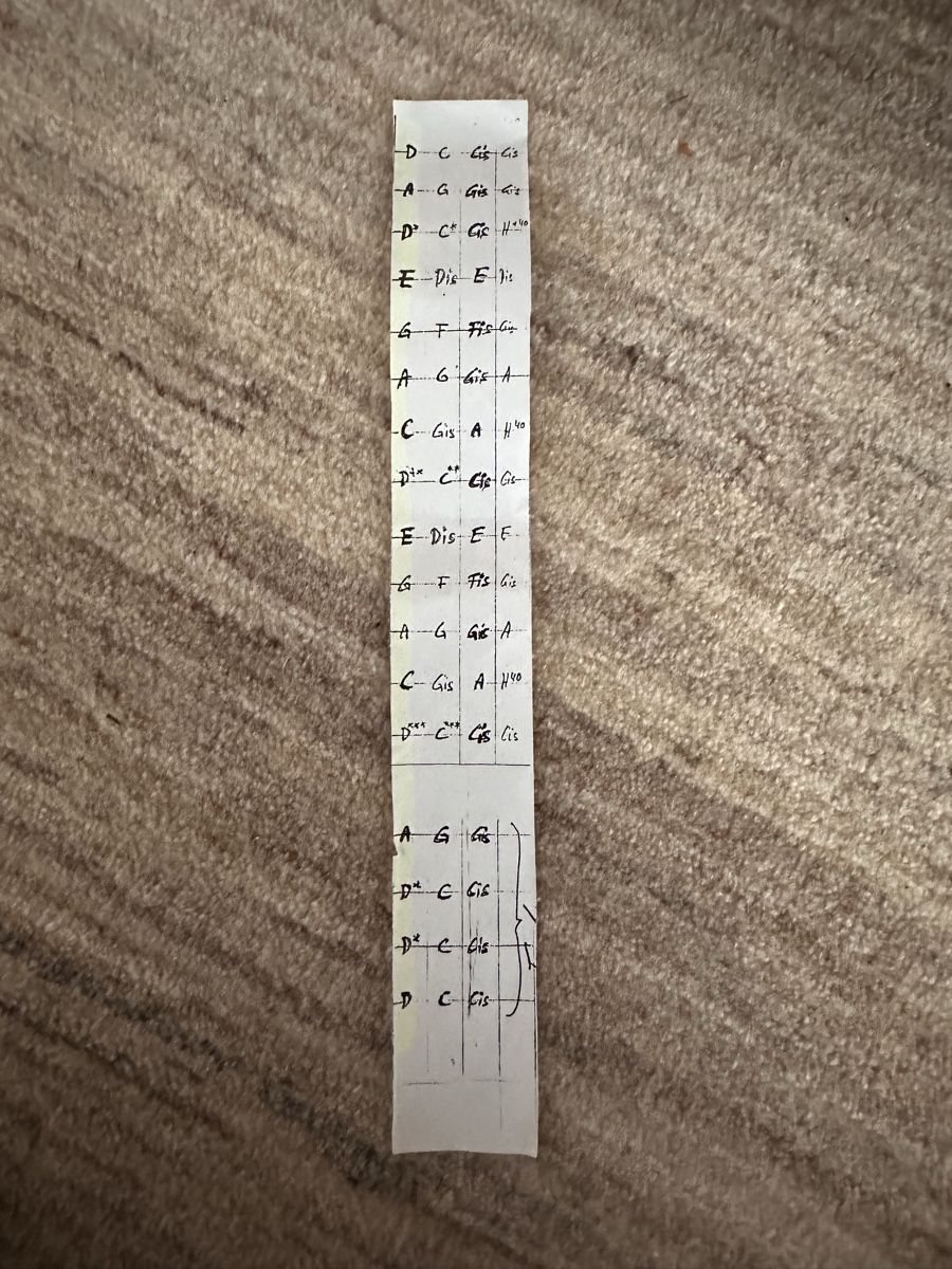 Strumenti musicali: Monochord Double – Usato da Wetzikon ZH venduto da s.ochsner 4