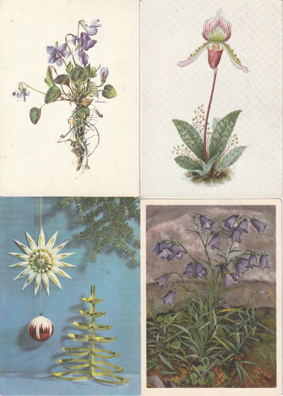 Cartes postales: 20  Blumenkarten – D'occasion à Lumbrein par made02 4