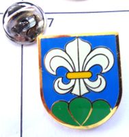 Pin Wappen blau grün