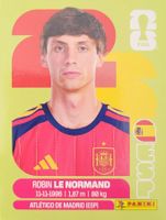 Panini FIFA World Cup ESP 3