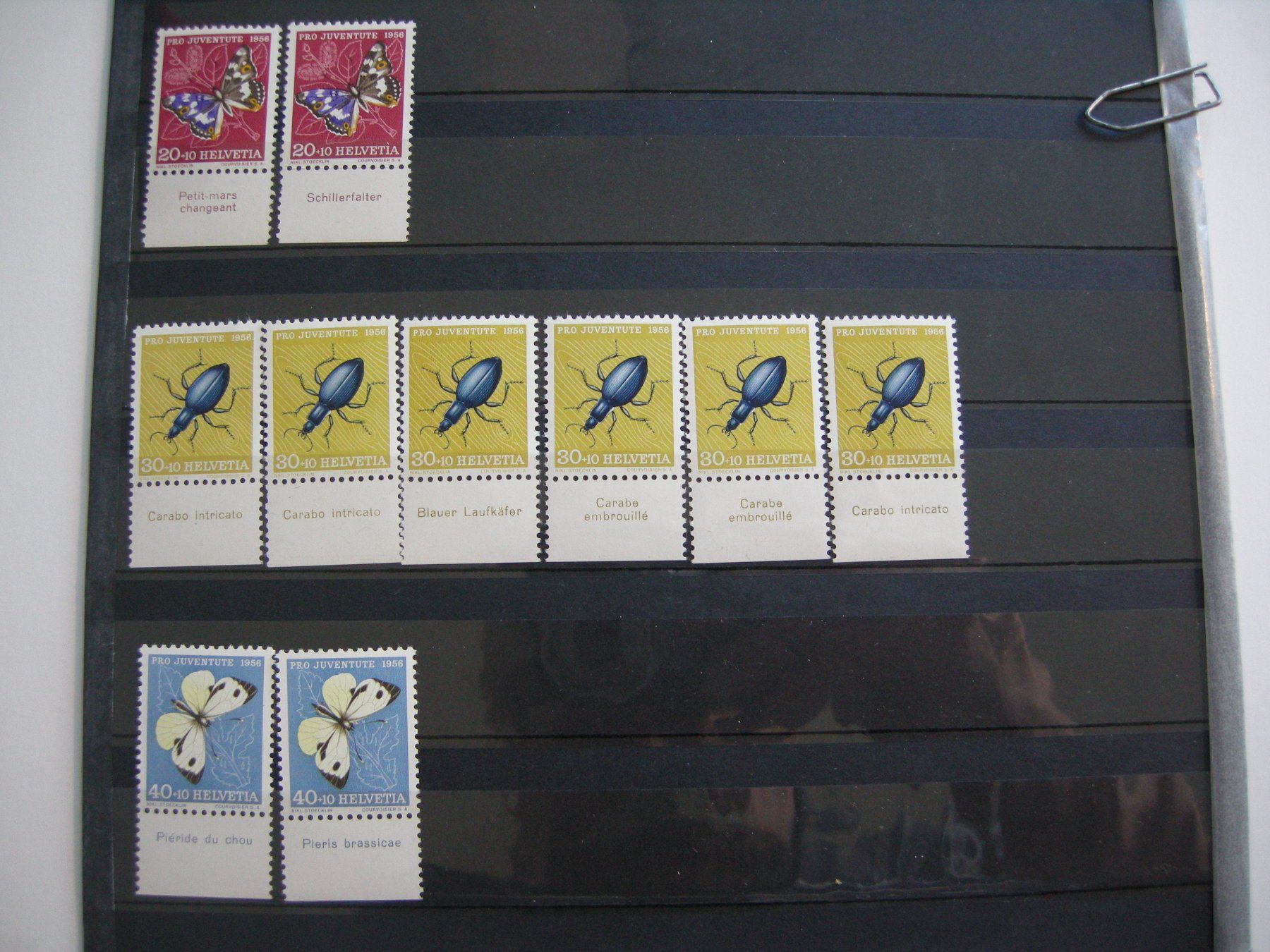 Tutti i francobolli: 1956 PRO JUVENTUTE TABS, RESTLOT, POSTFRISCH/** – Usato da Rüti ZH venduto da jupi1945 3