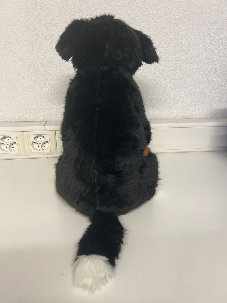Giocattoli: Plüschtier Bernardinerhund – Usato da Bottmingen venduto da ale3829 1