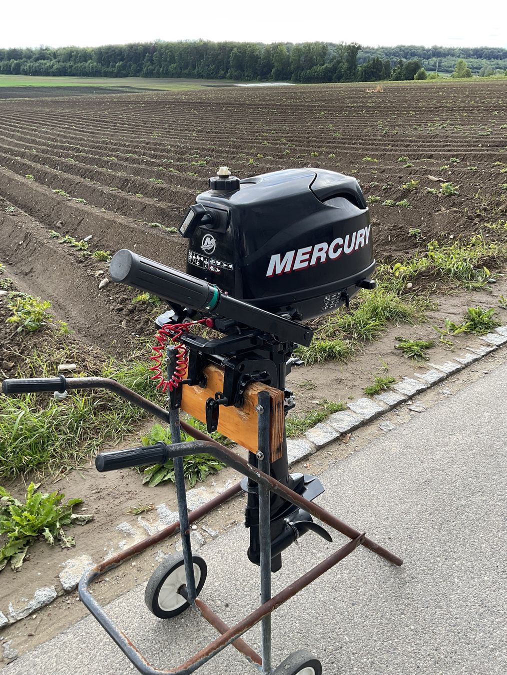 Mercury Motori: Aussenbordmotor Mercury F6M – Usato da Hagneck venduto da Kobogero 4