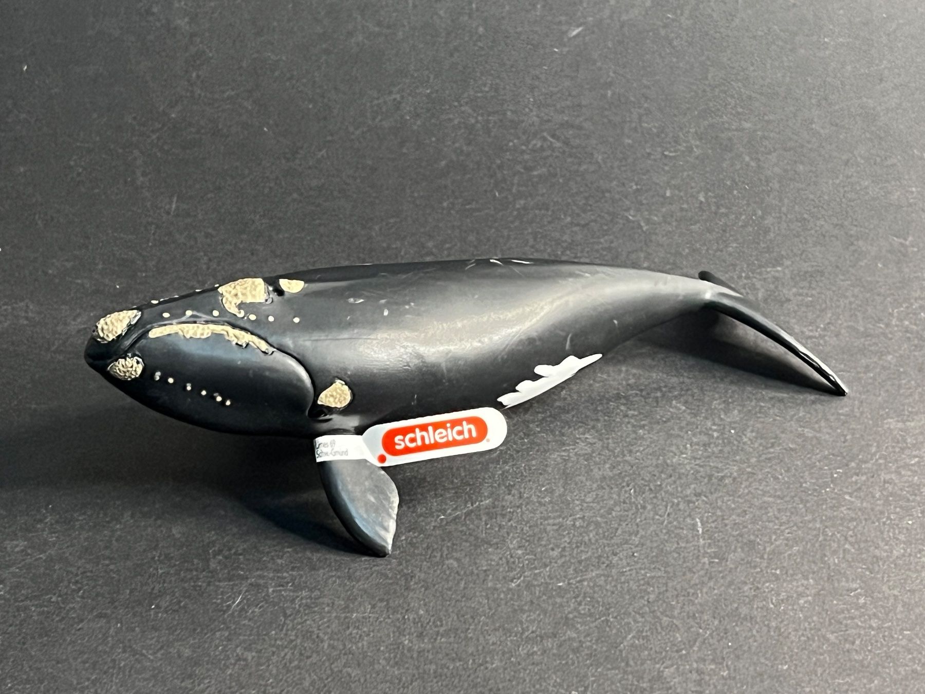 Schleich Statuette: Schleich Nordkaper Meerestier Wassertier Meer Wasser – Nuovo (secondo la descrizione) da Ennetbaden venduto da mapa05