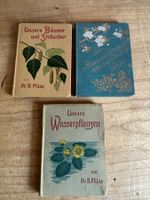 Buch Konvolut Dr. B. Plüss Bäume Sträucher Wasserpflanzen