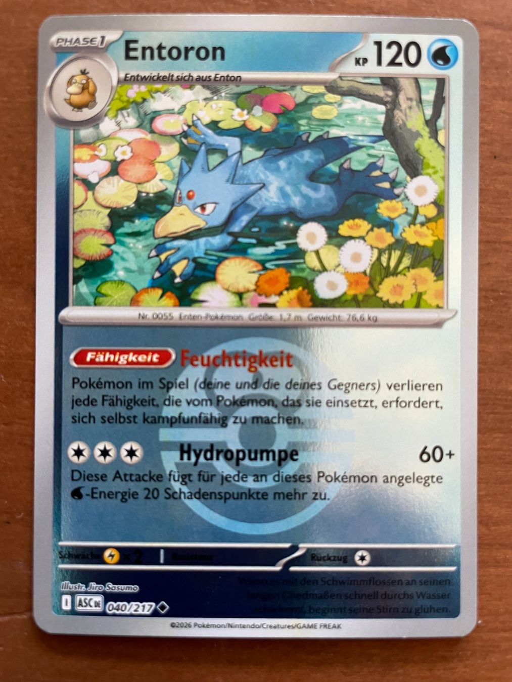 Pokémon Carte collezionabili: Pokemon Entoron Reverse (Versand gratis) – Nuovo (secondo la descrizione) da Chur venduto da Angerson