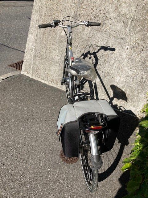 Giant Biciclette: Elektrovelo – Usato da Engelberg venduto da Muettliger 2