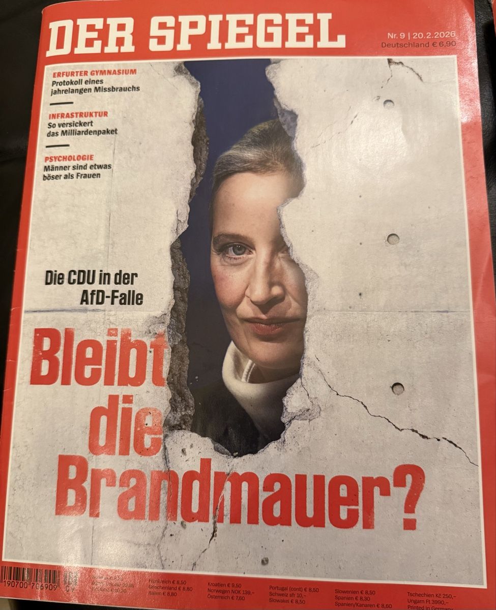 Riviste & Magazine: 2x Der Spiegel/ Epstein/Brandmauer/2.26 – Usato da hunzenschwil venduto da Oldipark 1