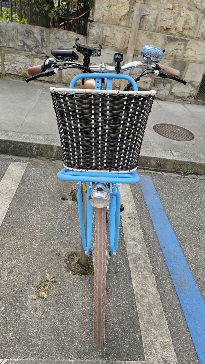 Totem Biciclette: Ebike Totem 25km/h – Usato da Genève venduto da Goupiole 3