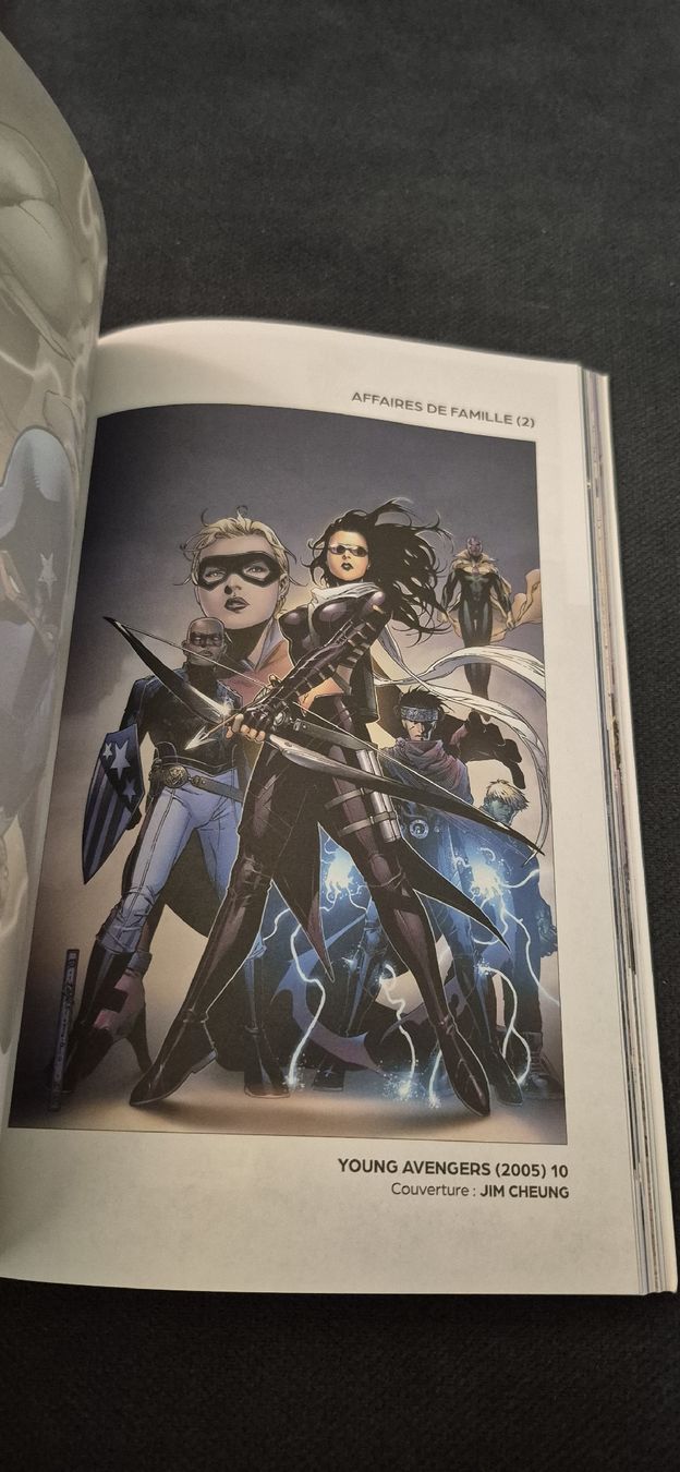 Comics: YOUNG AVENGERS SAGA COMPLÈTE MARVEL COMICS BD FRANÇAIS – Gebraucht aus Grand-Lancy von luc111 6