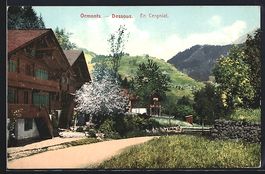 AK Ormont-Dessous, en Cergniat