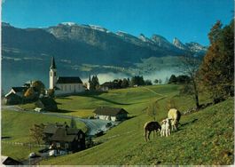SG 103 Wildhaus mit Churfirsten Schafe GF
