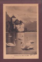 Château de CHILLON - Cygnes - Dents du Midi - 1909