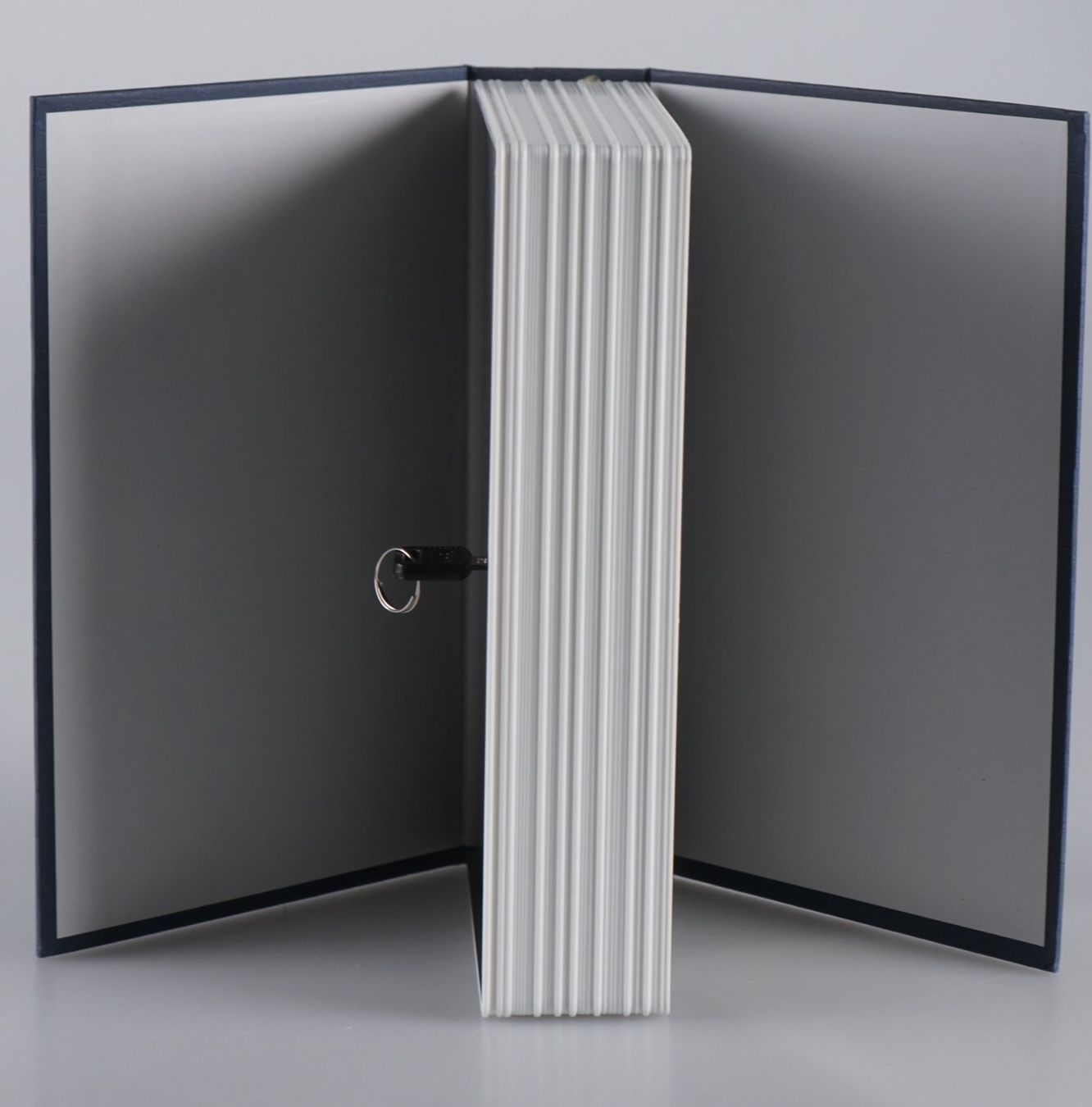 Tresor: Ein Buch-Tresor mit Schlüssel – Gebraucht aus Volketswil von brockipfannenstil 3