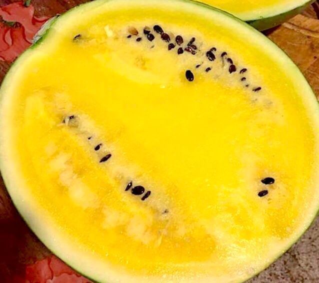 Piante & sementi: 5  stk SAMEN seltene Gelbe Wassermelone – Nuovo e nell'imballaggio originale da Rovio venduto da POSITIFFARTandPLANTS