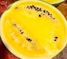 5  stk SAMEN seltene Gelbe Wassermelone