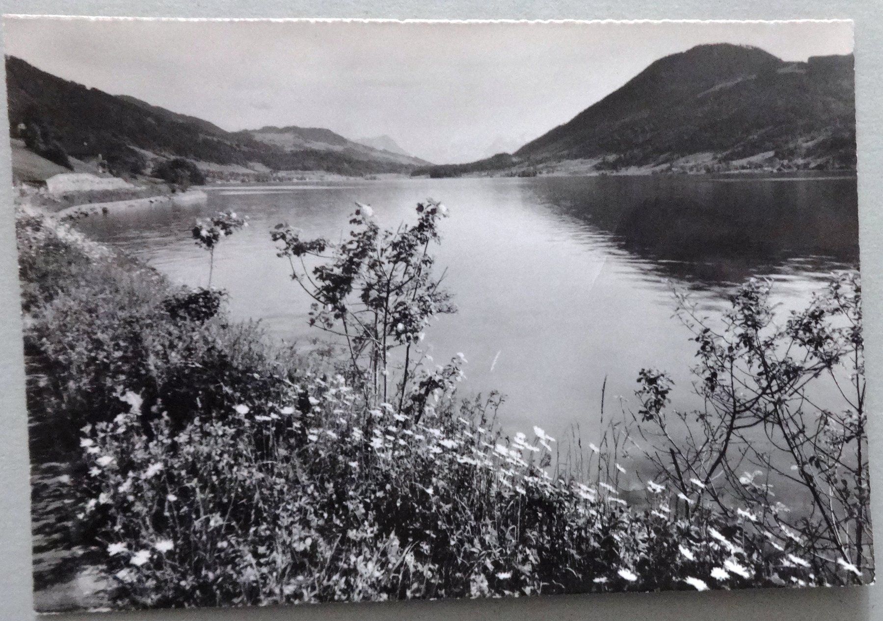 Cartoline postali: Am Aegerisee – Usato da Fétigny venduto da Billy2miny