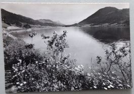 Am Aegerisee